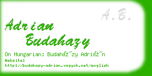 adrian budahazy business card